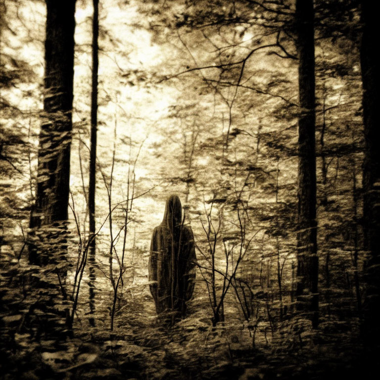 Sepia-Toned Image of Mysterious Figure in Ethereal Forest