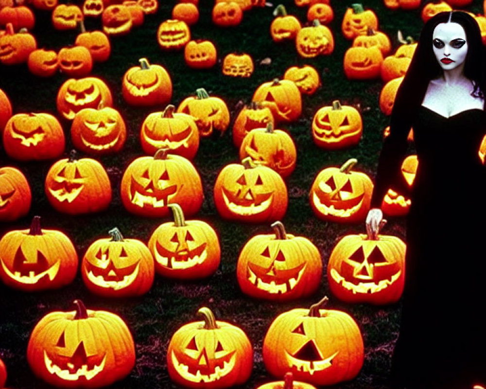 Woman in Black Dress Surrounded by Carved Pumpkins for Halloween