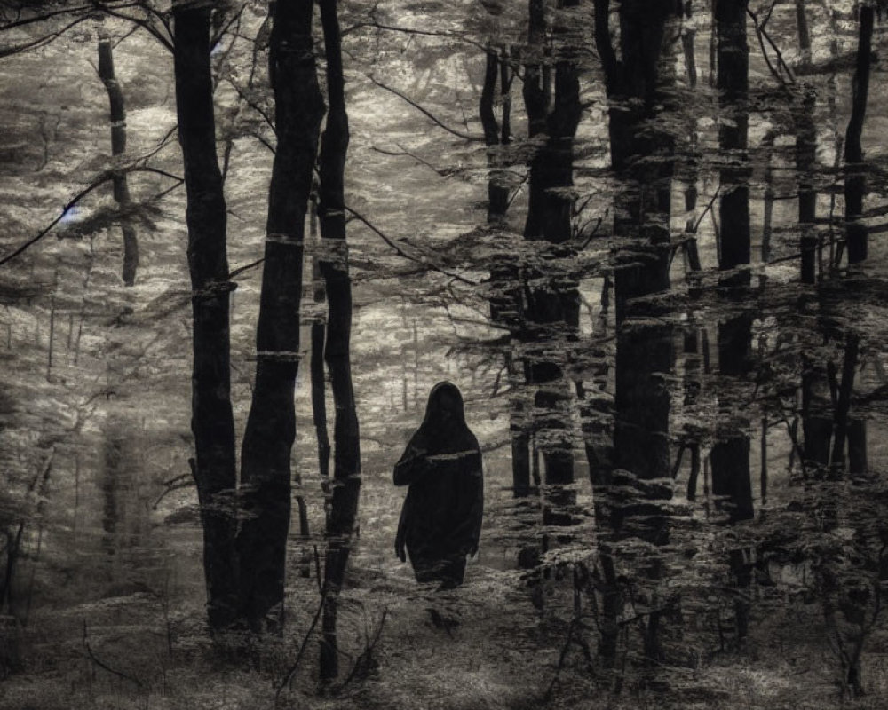 Mysterious Figure in Black Among Shadowy Trees