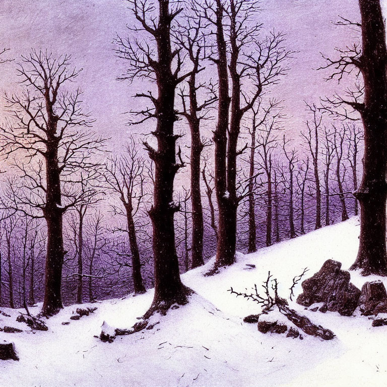 Snowy hillside with bare trees under purple twilight sky