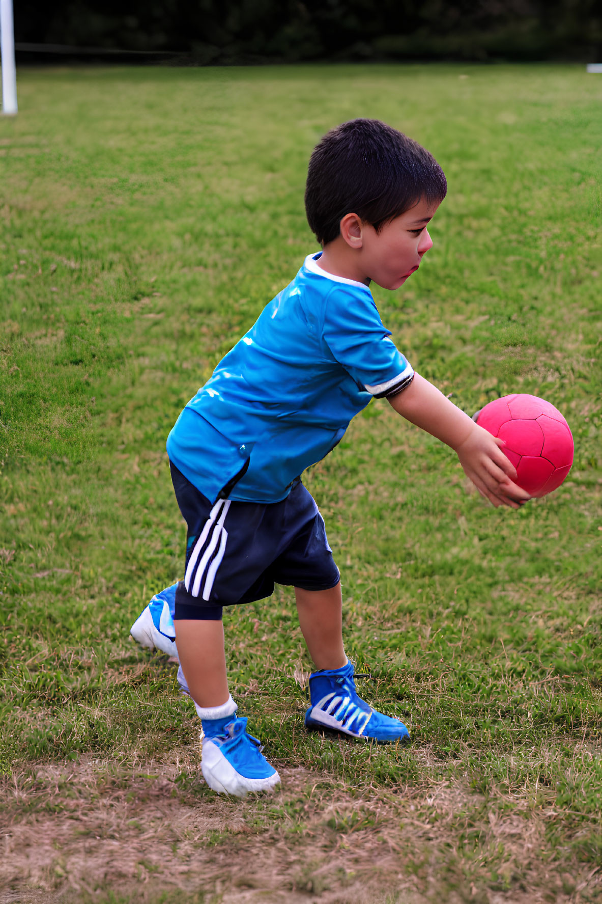 Child in Blue Shirt Playing with Pink Ball on Grass Field