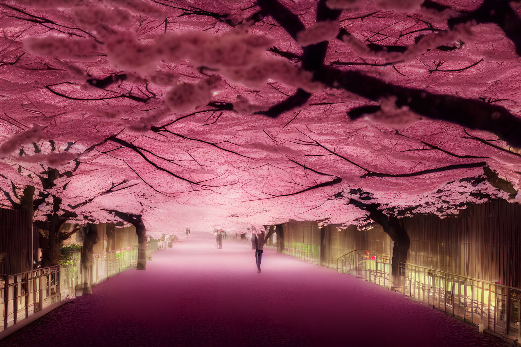 Pink Cherry Blossom Canopy Illuminated Walkway with Strolling People