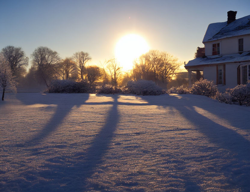 Winter Sunset Scene: Snowy Landscape, House, Long Tree Shadows