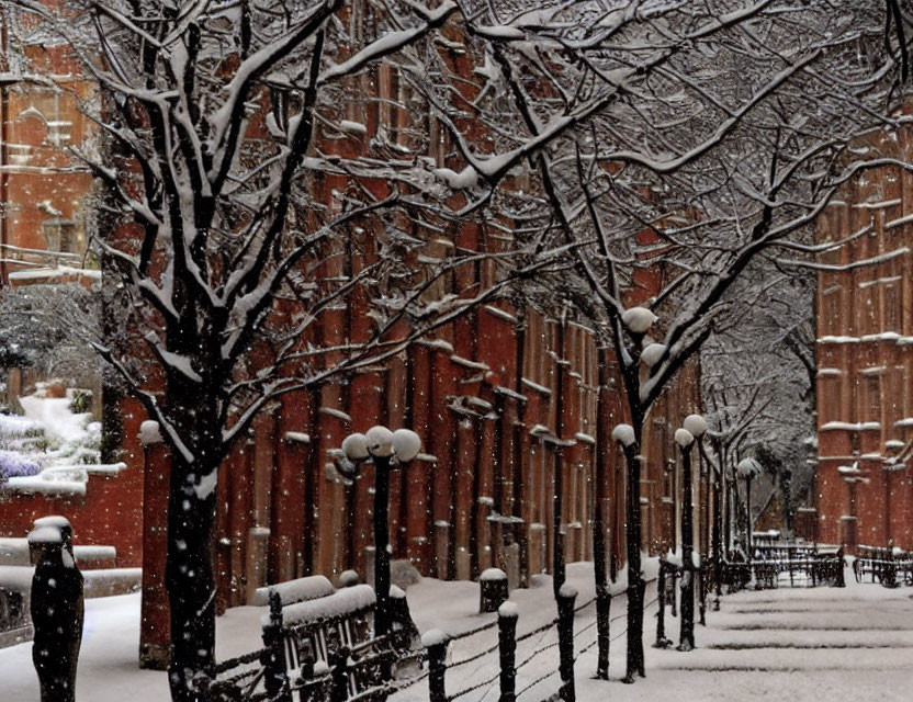 Snowy City Street Scene with Bare Trees, Lampposts, Benches, and Red Brick