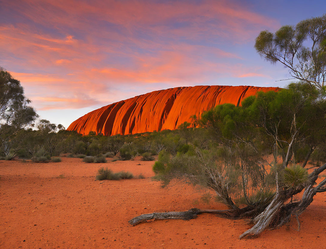 Vibrant sunset illuminating Uluru against orange sky and green desert.