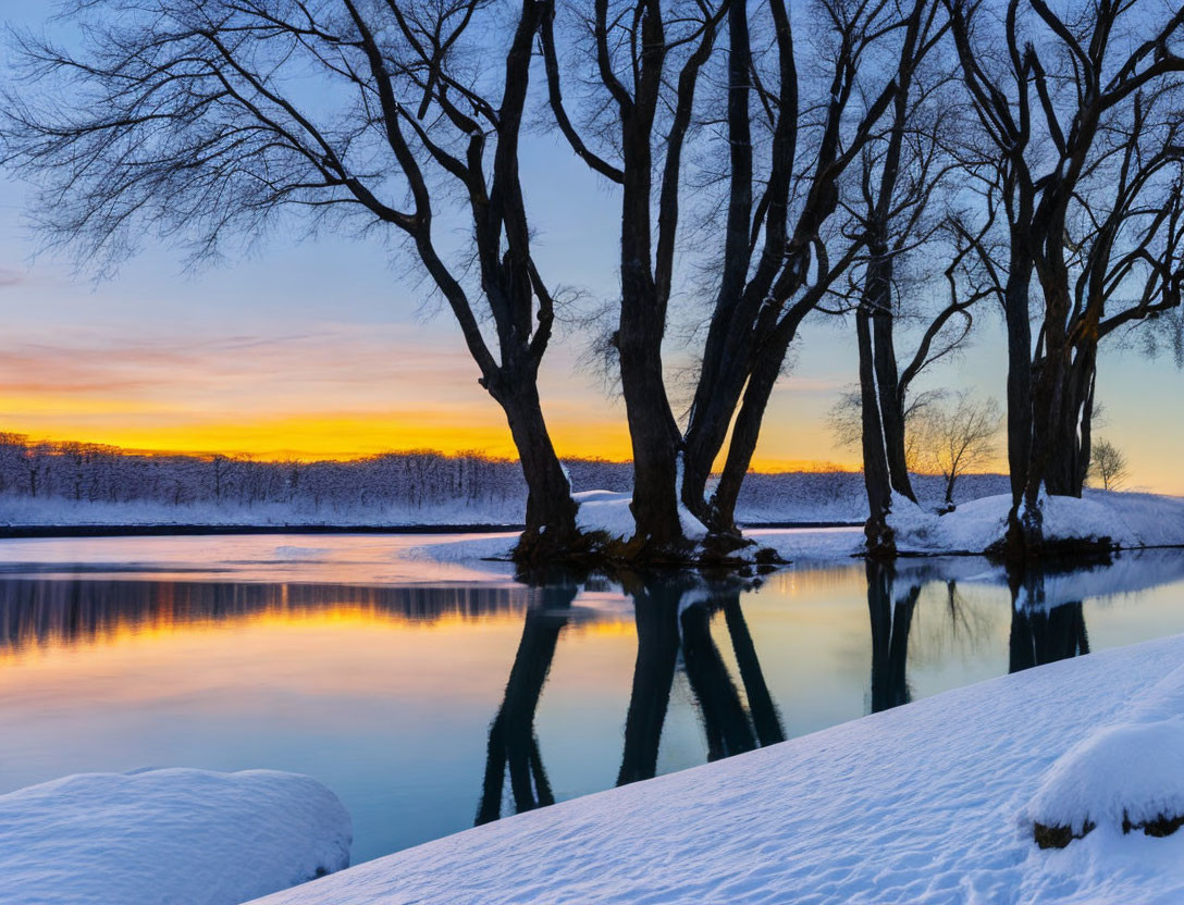 Bare Trees Reflecting on Tranquil River at Winter Dusk