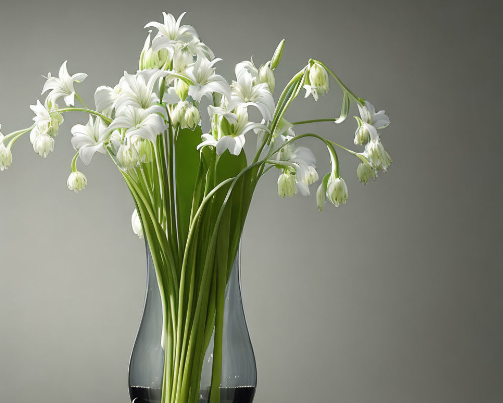 White lilies in vase on grey background with soft light: serene elegance