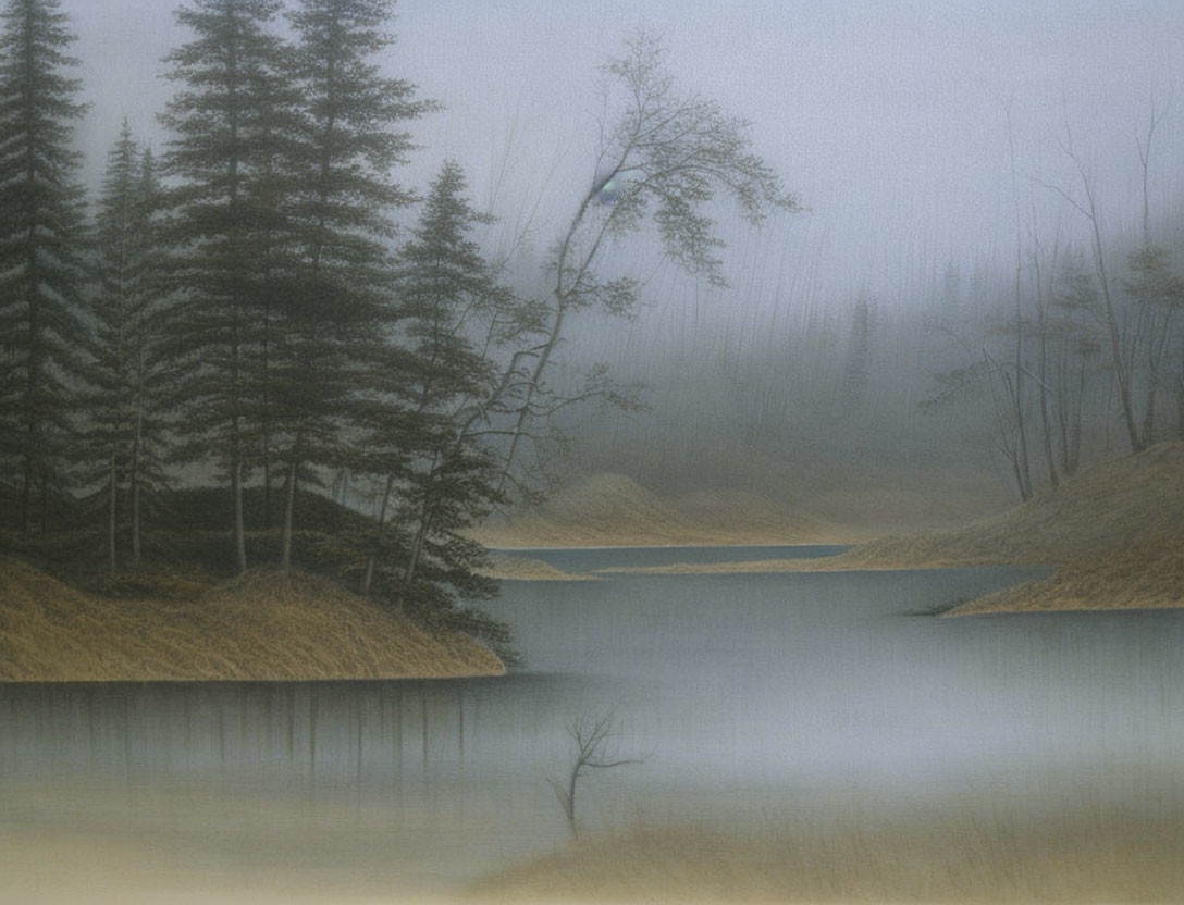 Misty lakeside scene with evergreen and barren trees reflected in still water