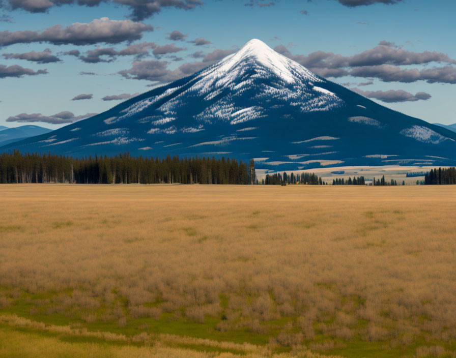 Snow-capped mountain peak over golden grassy field under cloudy sky