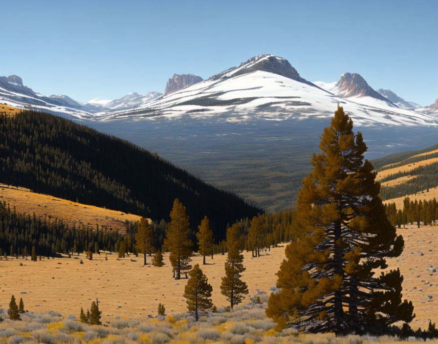 Snowy Mountain Range and Evergreen Trees in Serene Landscape