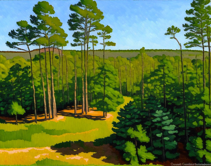 Sunlit forest painting with tall pine trees and lush green foliage