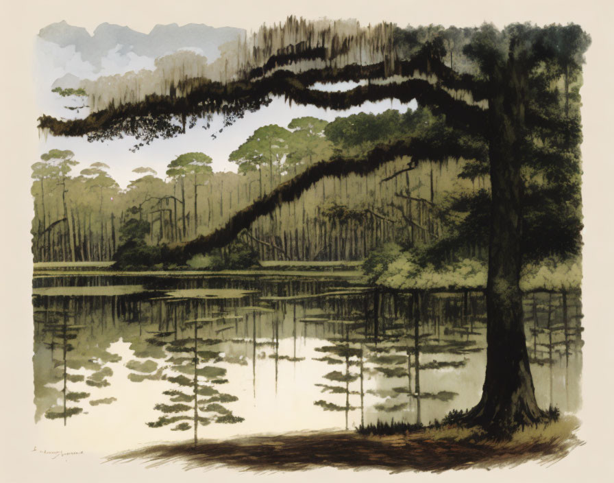 Tranquil tree painting by still lake with reflections