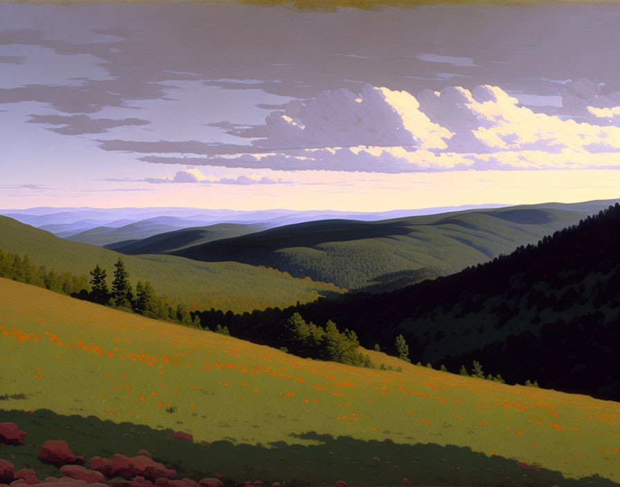 Scenic green hills with orange wildflowers under a vast sky