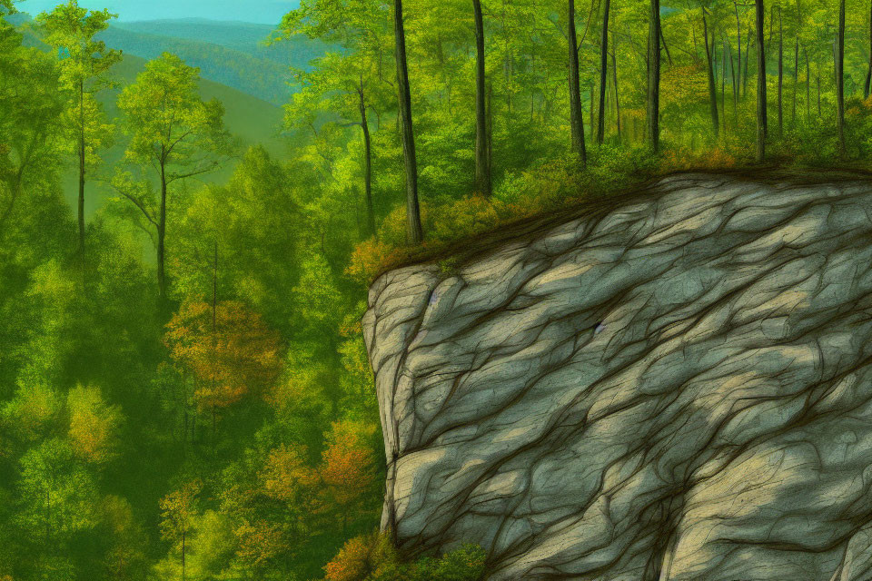 Vibrant green forest with diverse foliage under bright sky and intricate cliff patterns