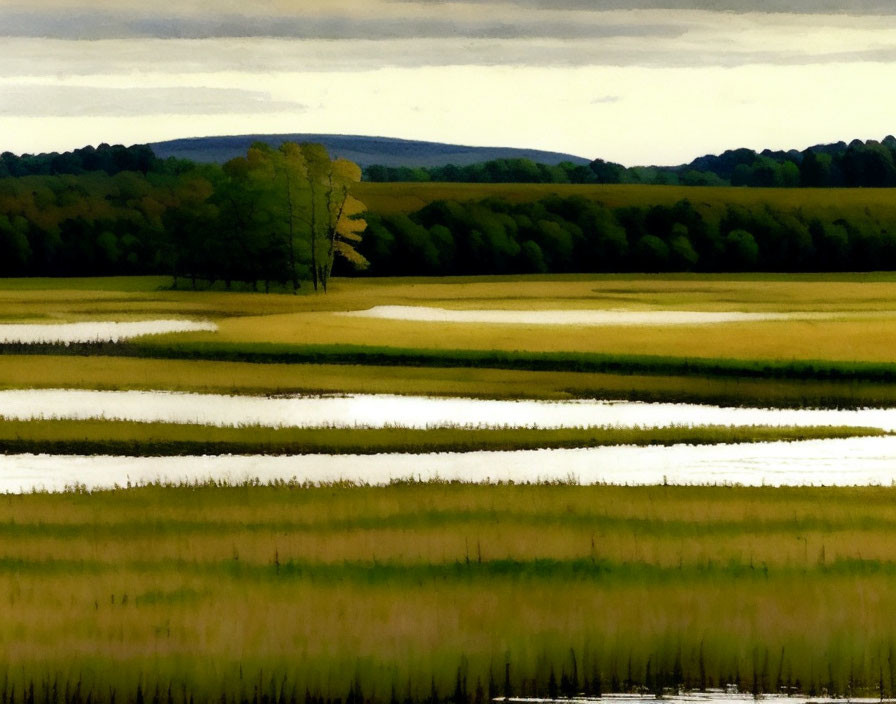 Tranquil landscape with layered fields and water borders