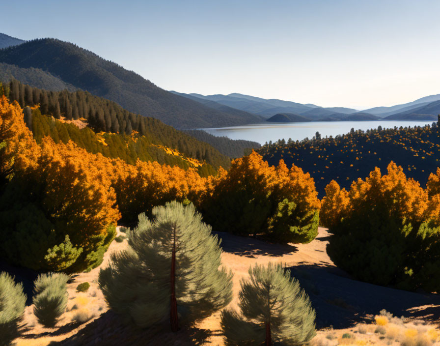 Tranquil autumn landscape with lake, hills, and forest