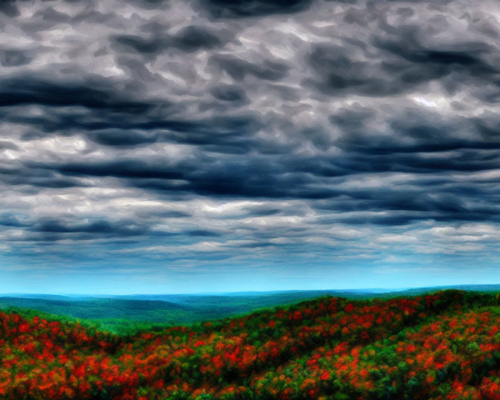 Colorful Forested Hillside Under Dramatic Cloudy Sky