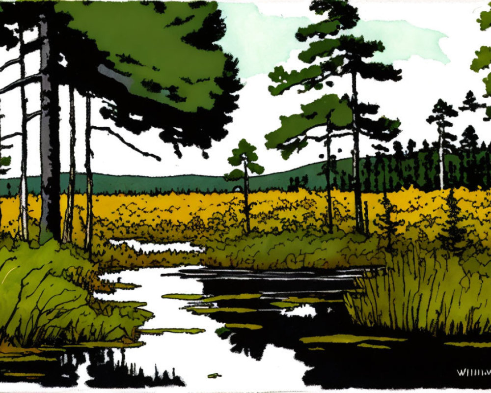 Tranquil forest scene with pine trees, stream, and yellow flowers