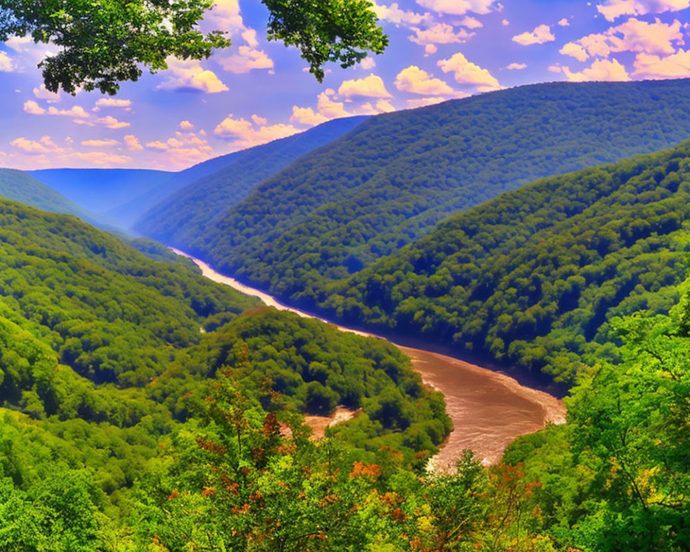 Scenic landscape: winding river in forested valley under blue sky