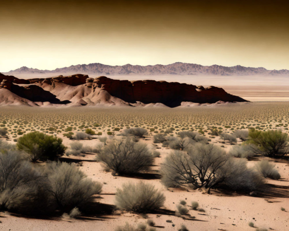 Sparse Vegetation and Sandy Desert Landscape with Distant Mountains