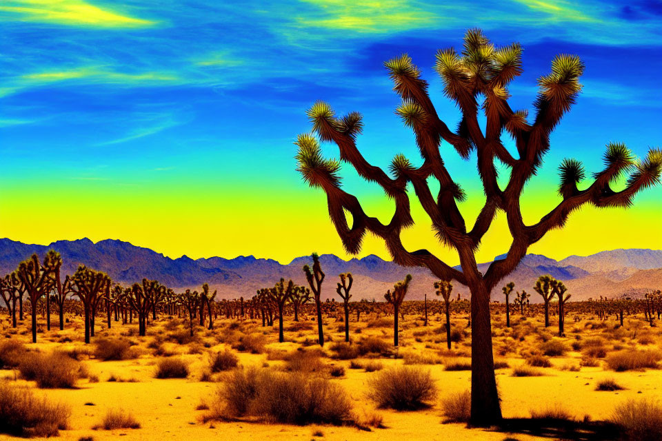 Vibrant desert landscape with Joshua trees under a blue sky.