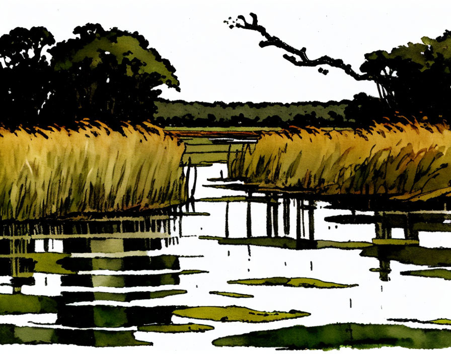 Tranquil marshland scene with reeds, footbridge, lily pads, and treeline