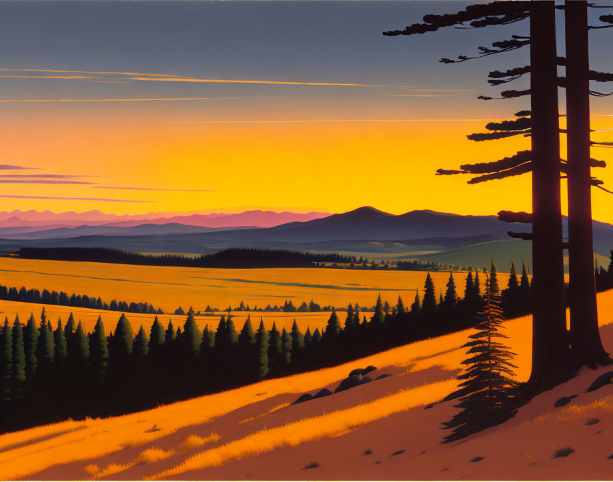 Vivid Orange and Yellow Sunset Silhouette Over Pine Trees