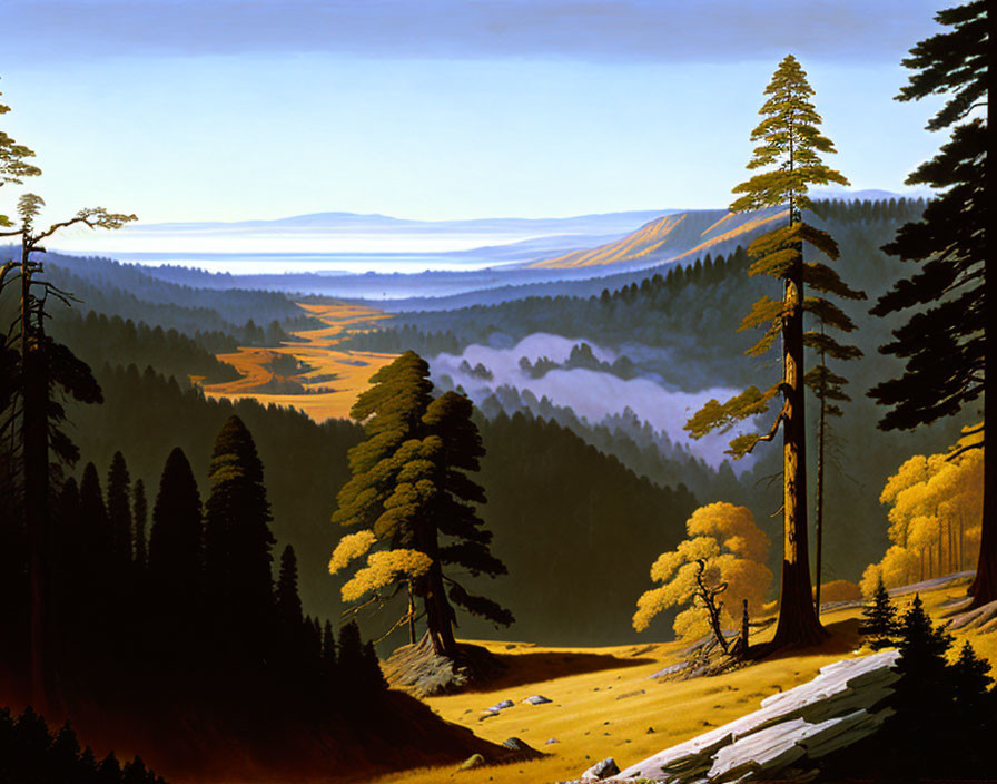 Tranquil forest landscape with misty valley and distant mountains