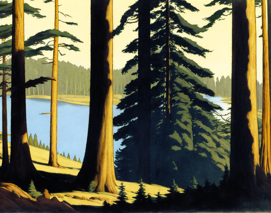 Tranquil lake surrounded by dense coniferous trees