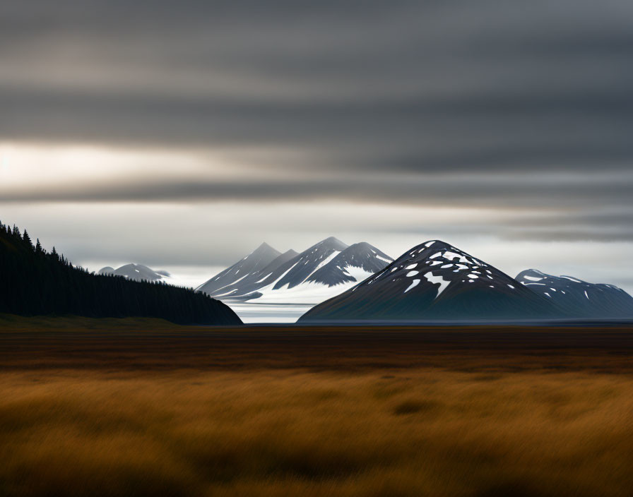 Snow-Capped Mountains and Golden Grassland Landscape Under Overcast Sky