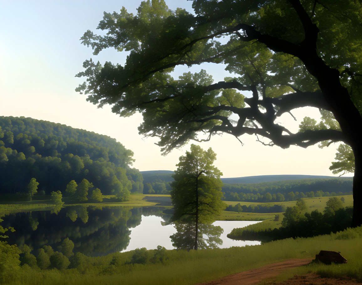 Tranquil landscape: tree by lake at sunrise