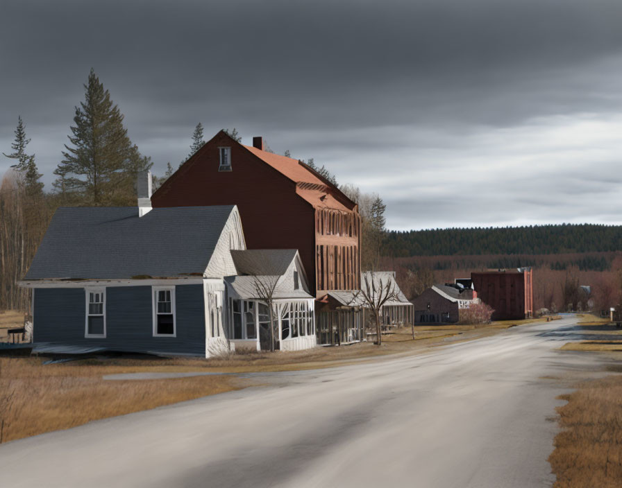 Quiet Street: Large Red House, Small Blue House, Barren Trees, Overcast Sky