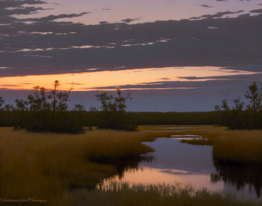 Tranquil wetland landscape at dusk with golden sky reflections.