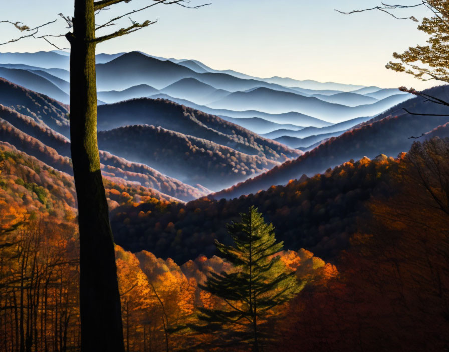 Autumn Mountain Ridges at Sunset with Silhouetted Trees