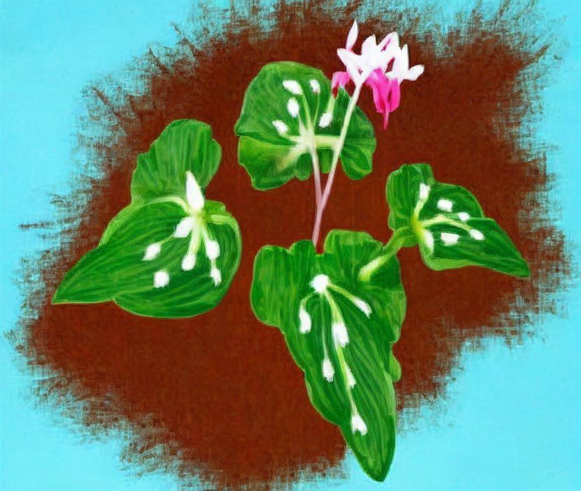 Digital painting of blooming cyclamen on textured background