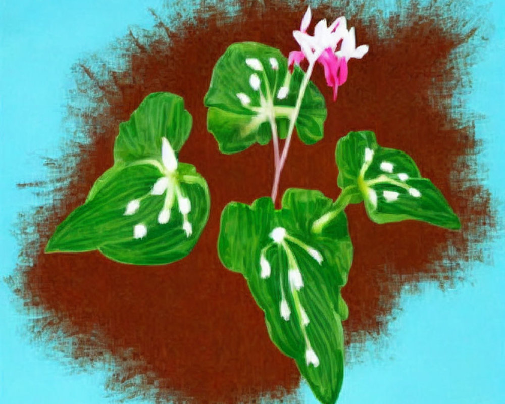 Digital painting of blooming cyclamen on textured background