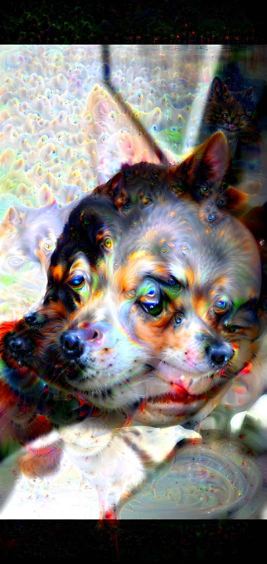 First attempt at psychedeli human missing his dogs