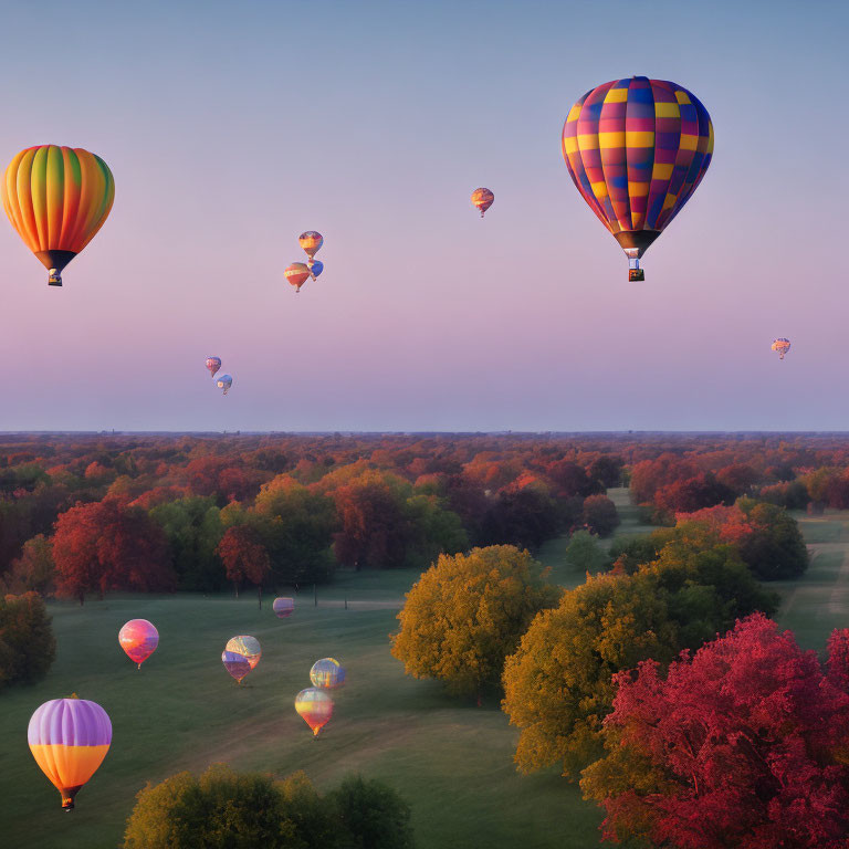 Vibrant hot air balloons over lush green and red landscape at sunset