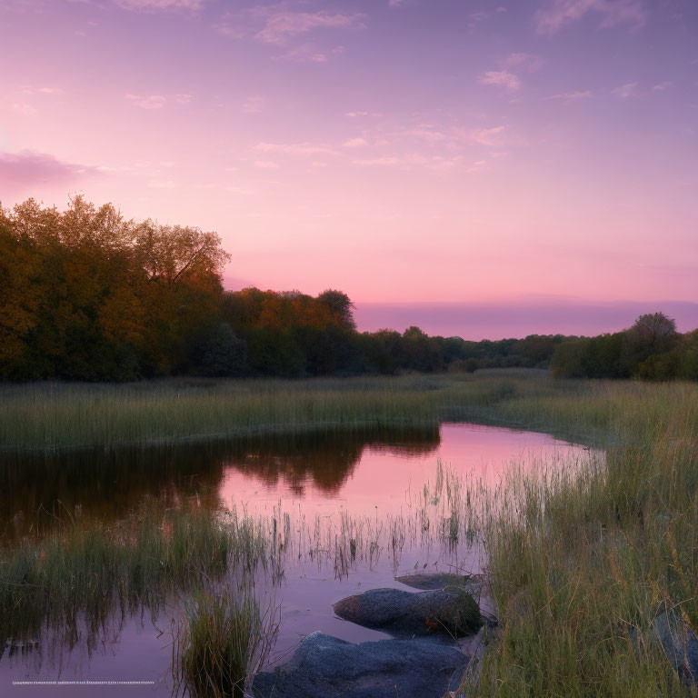 Tranquil Sunset Scene: Pink and Purple Hues on Calm Lake