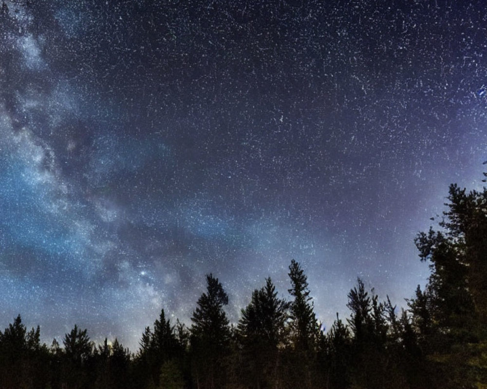 Starry Night Sky Over Silhouetted Pine Forest