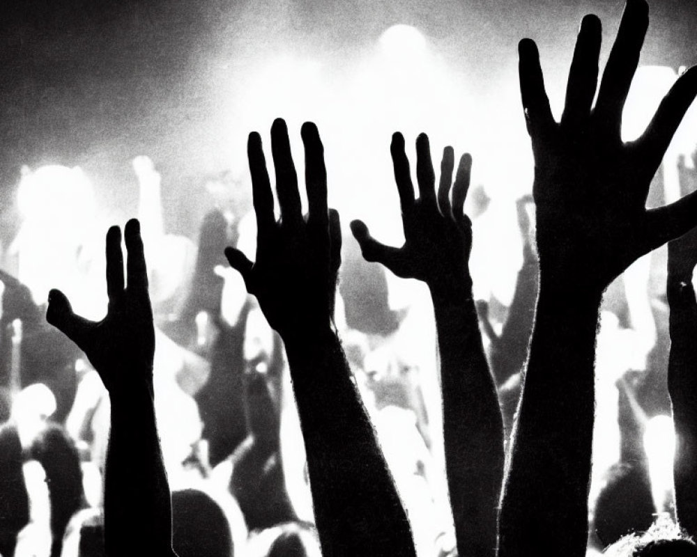 Crowd at Concert with Raised Silhouetted Hands