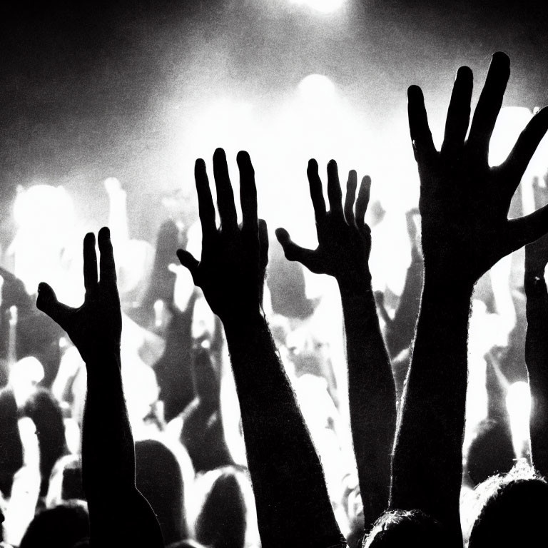 Crowd at Concert with Raised Silhouetted Hands