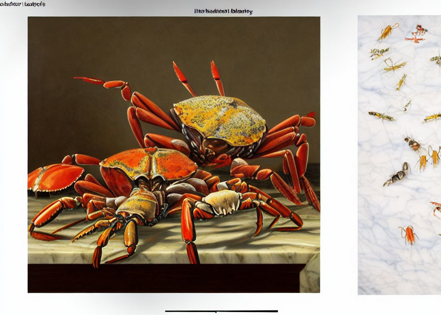 Realistic painting of crabs on table next to photo of ants on white surface