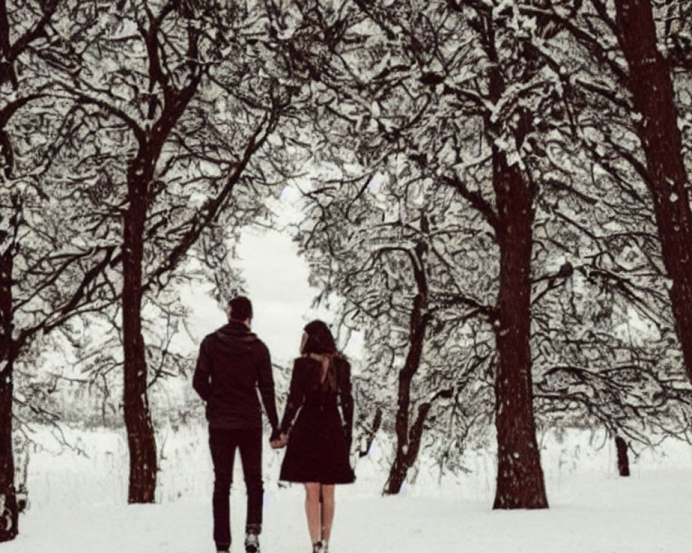 Couple Walking Hand in Snowy Winter Forest