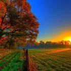 Scenic sunset over misty forested valley with red cliffs & river