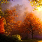 Golden autumn foliage, sun rays, mist, fallen leaves, lush grass - serene nature scene