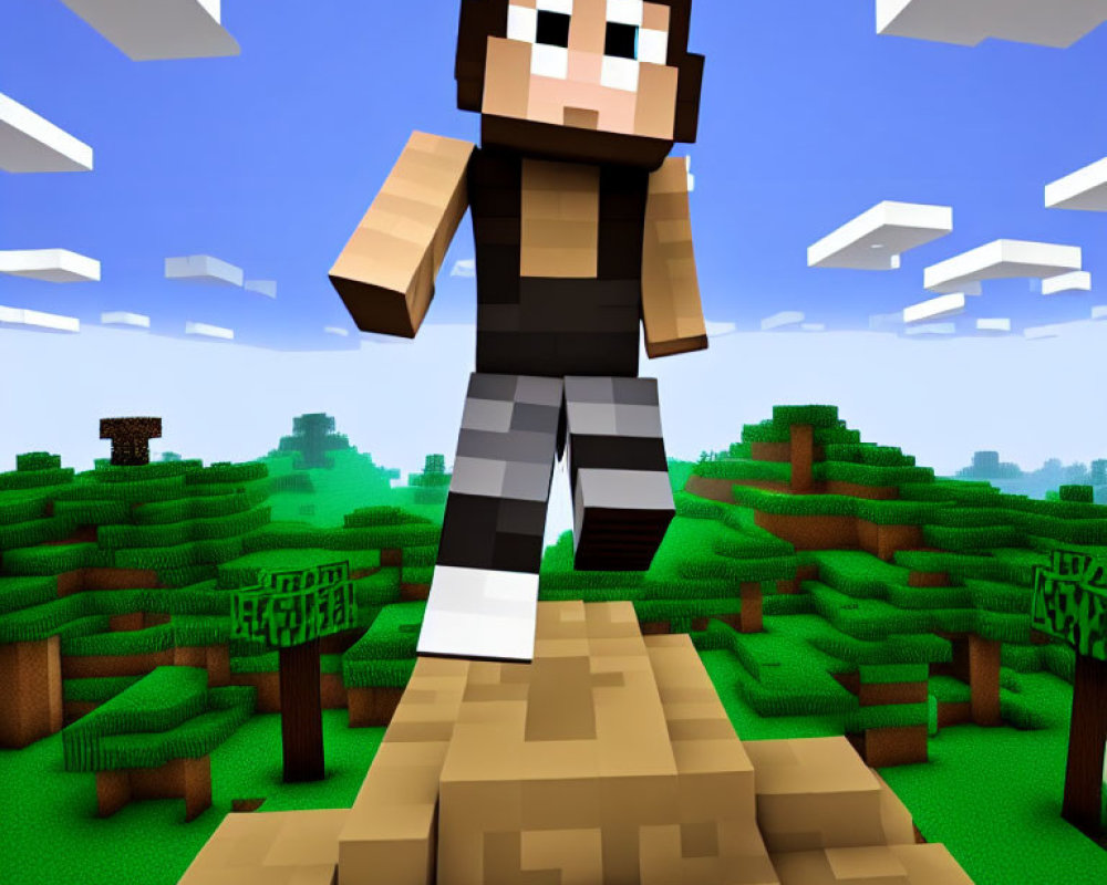 Digital Minecraft character on dirt path in blocky landscape