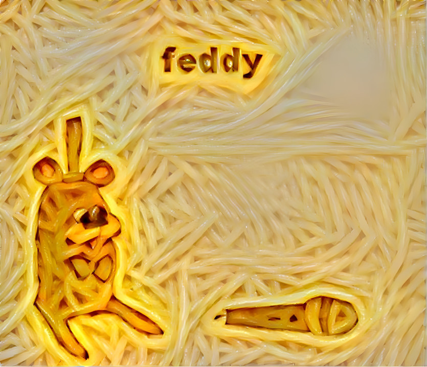 f e d d y    s p a g e t