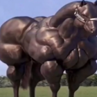 Chestnut horse with blue mane displaying muscular physique