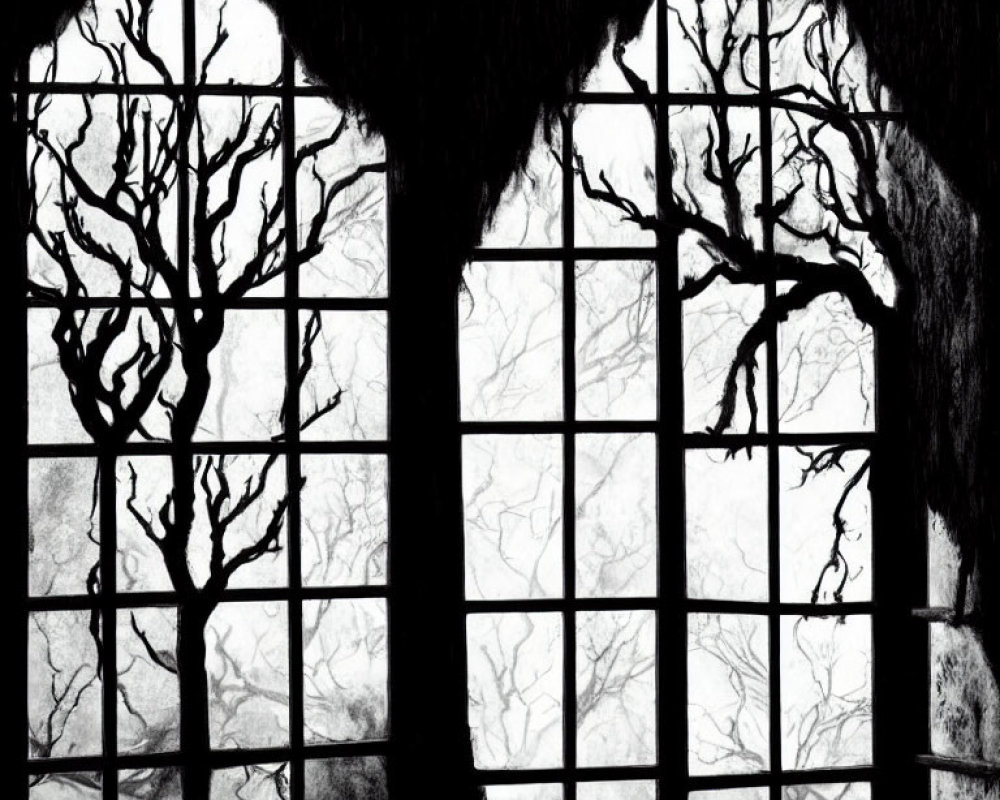 Bare Trees Silhouetted Through Square-Paneled Windows